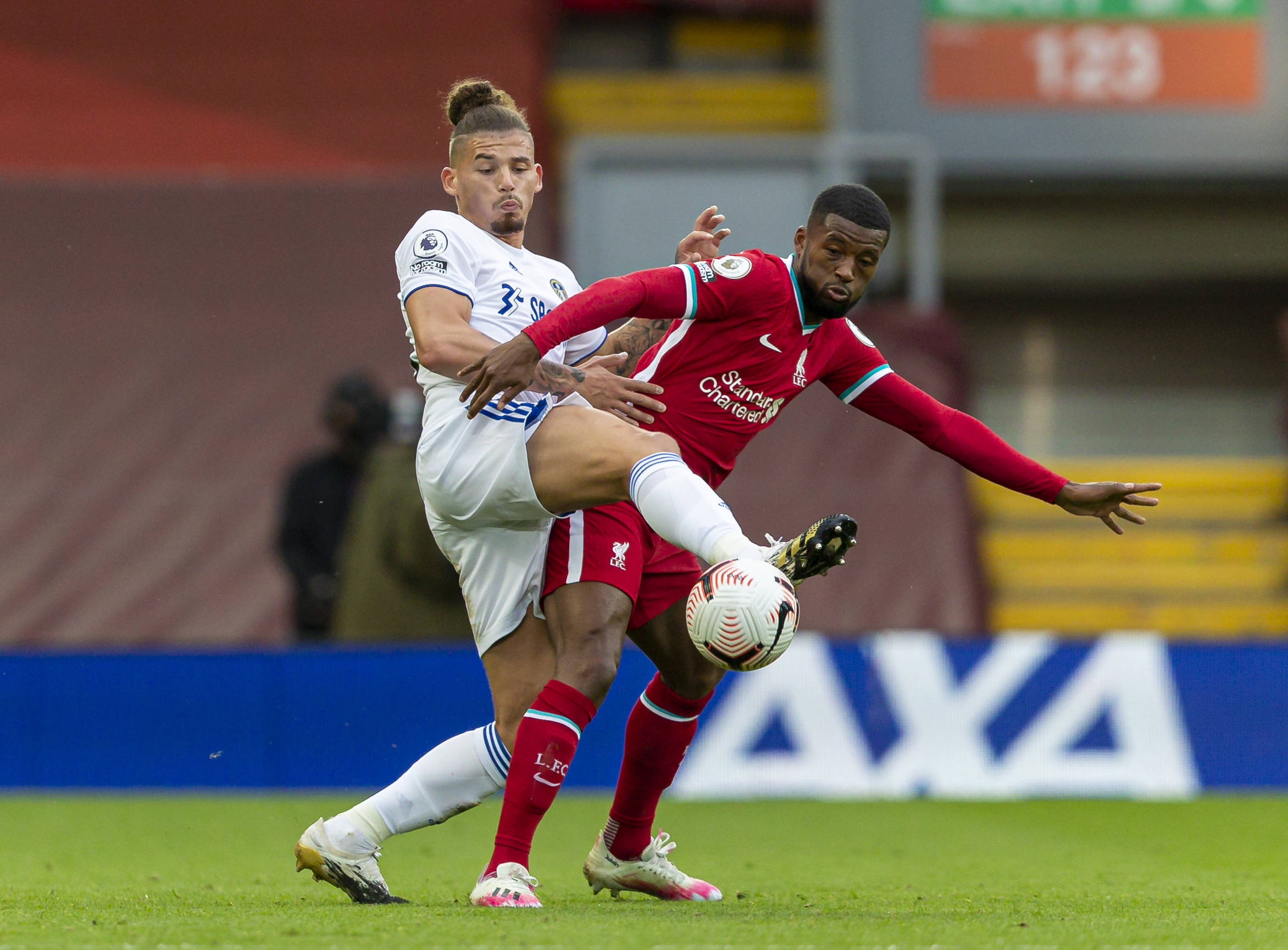 稳定地掌控 稳定地掌控