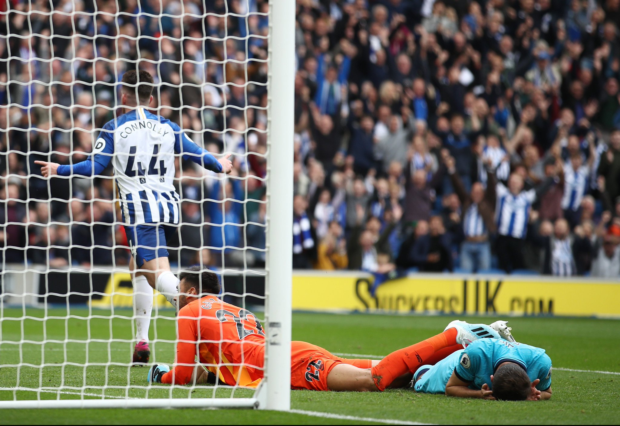 刺球迷的最 刺球迷的最